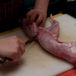 field-to-feast-taxidermy-1