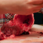 field-to-feast-taxidermy-10