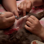 field-to-feast-taxidermy-11