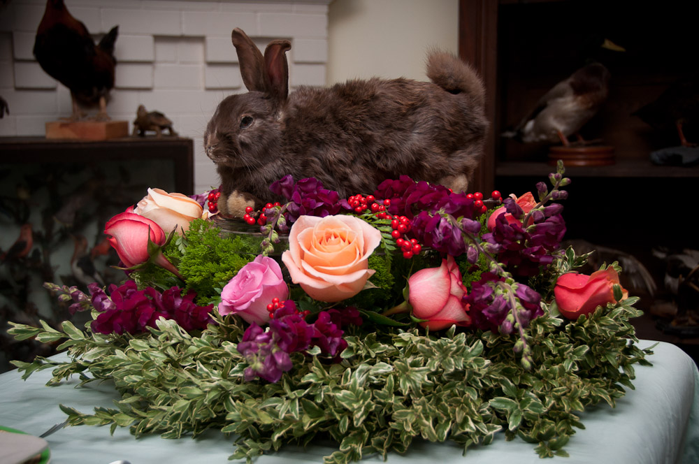 Taxidermied rabbit body on a flowered centerpiece
