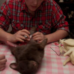 field-to-feast-taxidermy-16