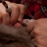 field-to-feast-taxidermy-19