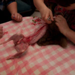 field-to-feast-taxidermy-23