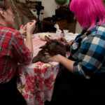 field-to-feast-taxidermy-25