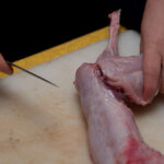 field-to-feast-taxidermy-3