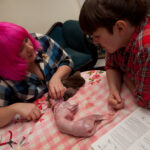 field-to-feast-taxidermy-34