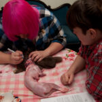 field-to-feast-taxidermy-35