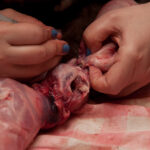 field-to-feast-taxidermy-37