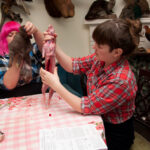 field-to-feast-taxidermy-39