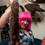 field-to-feast-taxidermy-43