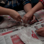 field-to-feast-taxidermy-56