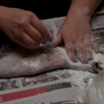 field-to-feast-taxidermy-57