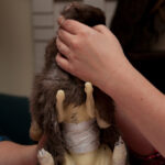 field-to-feast-taxidermy-66