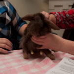 field-to-feast-taxidermy-67