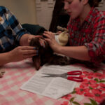 field-to-feast-taxidermy-69