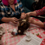 field-to-feast-taxidermy-71