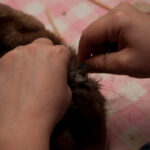 field-to-feast-taxidermy-76