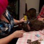 field-to-feast-taxidermy-79