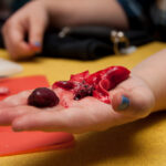 field-to-feast-taxidermy-8