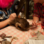 field-to-feast-taxidermy-81