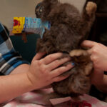 field-to-feast-taxidermy-86