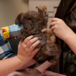 field-to-feast-taxidermy-87