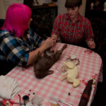 field-to-feast-taxidermy-9