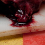 field-to-feast-taxidermy-9